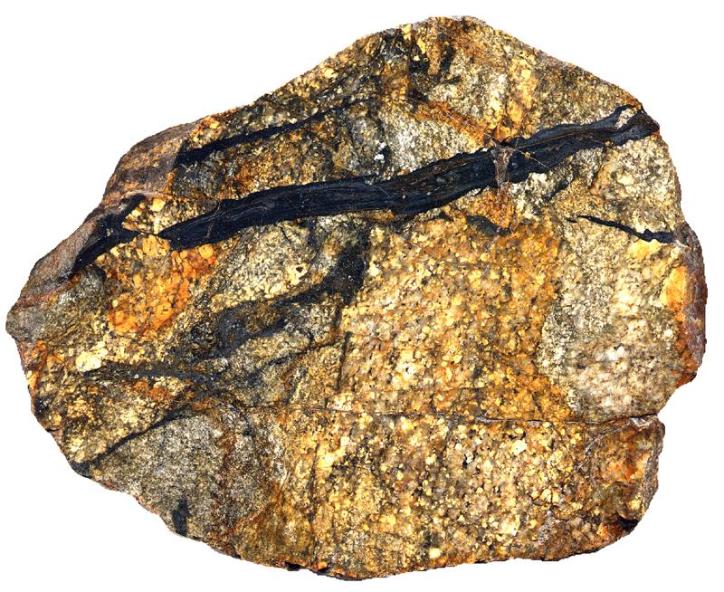 Pseudotachyllite vein in a tonalitic protolith deformed in a brittle lowangle normal fault (West Salton Detachment) SE Calif.