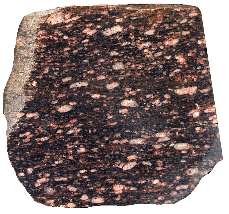 Mylonitic Silver Plume granite from Big Elk Meadows shear zone near Pinewood Sprgs CO (near RMNP) K-spars brittlely deformed Quartz is