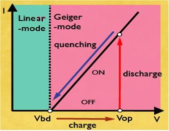 G-APD : Geiger mode APD G-APD : array of micro-cells APD operated in Geiger mode (Vbias > Vbd) γ e All cells connected to a common bias through an independent quenching resistor, integrated within a