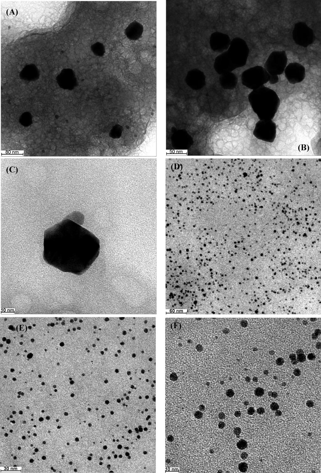 Monodisperse Protein Stabilized Gold Nanoparticles J. Phys. Chem. C, Vol. 112, No. 32, 2008 12285 Figure 1.