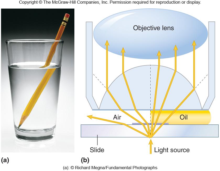Oil has same refractive index as glass High