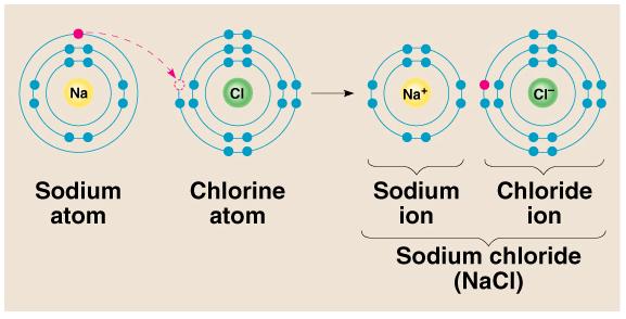 1). Ionic bond electron from Na is transferred to Cl, this causes a charge imbalance