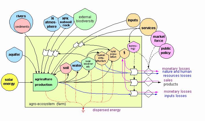 Systems ecology Energy flow diagram of an agroecological system 31 Systems