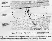 Mineral Deposit Formation Do not appear to be from sills or laccoliths Very little alteration, and rarely mineralized Proposed formation model: (Fletcher et al.