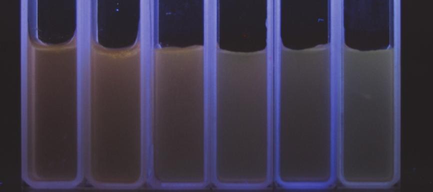 The blue light on the edge of colorimetric ware come from the blue light of handy UV light. Figure S23.
