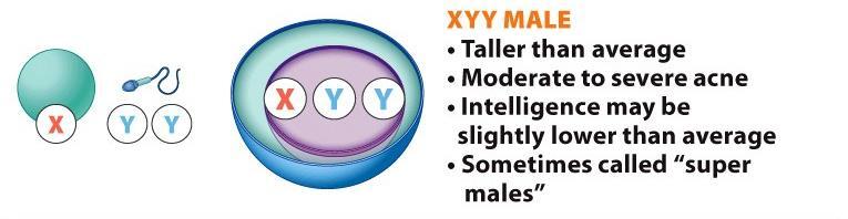 XYY Males