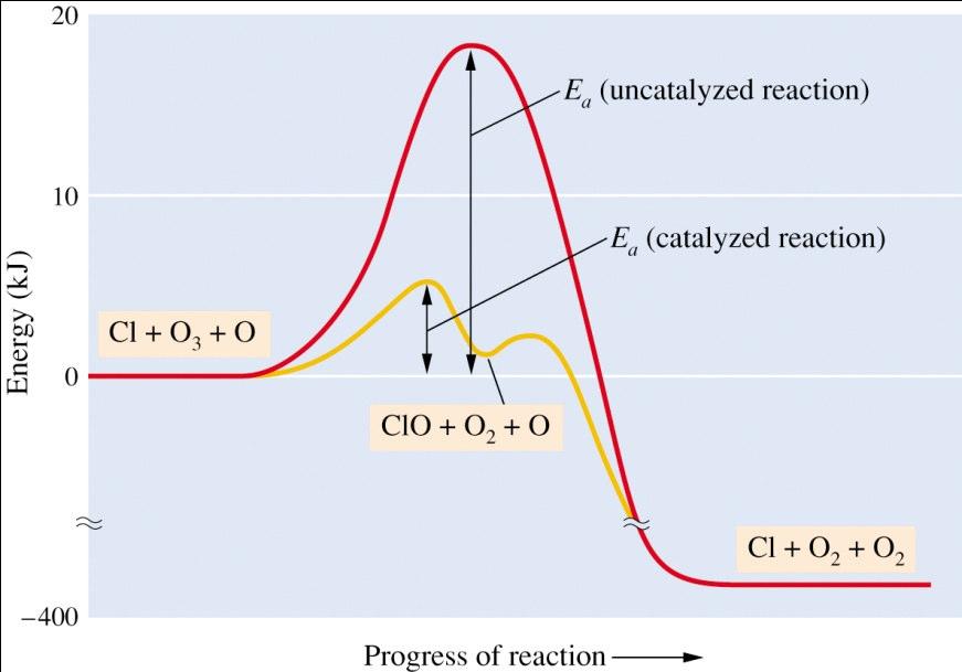 Catalysis is the increase in rate of a reaction that results from the addition of a catalyst. How do we explain how a catalyst can influence a reaction?