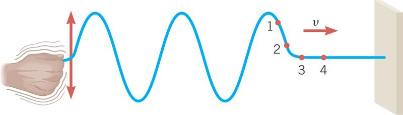 The Speed of a Wave on a String The speed at which the wave moves to the right depends on how quickly one