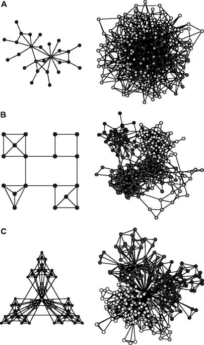 Clustering co-efficients and networks. Ravasz et al.,(2002) Hierarchical Organisation of Modularity in Metabolic Networks.