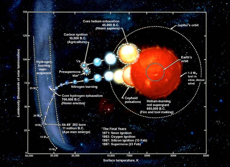 6) Fundamental nuclear cross sections Some key rates for astrophysics.