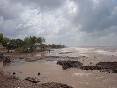 Coastal erosion and mangrove degradation in Go Cong, Tien Giang province Figure 9.