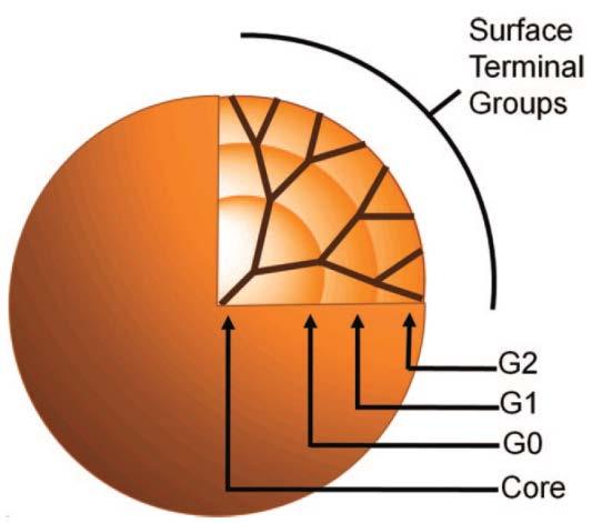 group Interior: affects host-guest properties Core: affects 3D shape of dendrimer