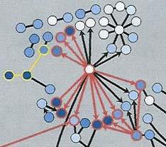 analysis 11 Protein network analysis RNA transcript 9 Cluster