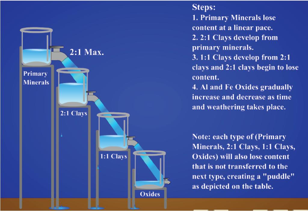 Stages of Clay Formation Clay formation (and type) drives CATION EXCHANGE CAPACITY Clay particles have negative charge 2:1 clays have greatest surface area:volume ratio, hence greatest CEC