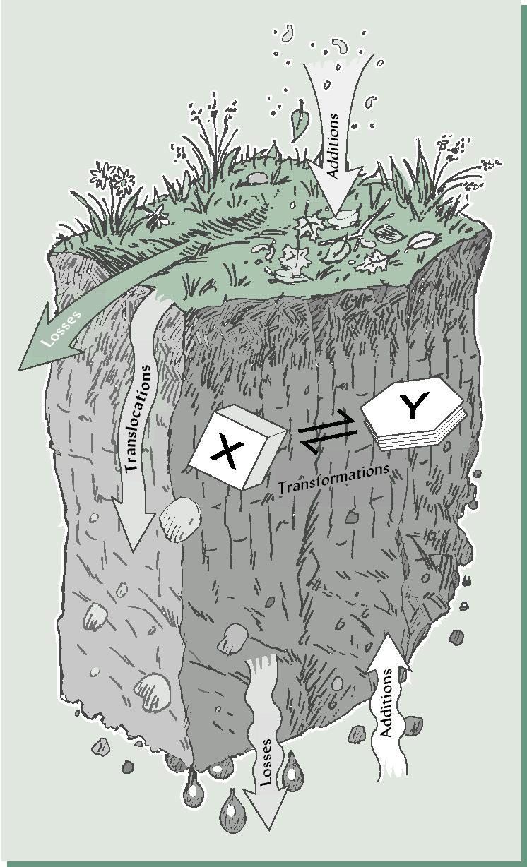 Putting all actions together = soil formation or genesis Soil forming
