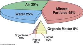 Also, the products of weathering clay minerals and oxides are more stable. Highly soluble minerals such as halite and gypsum are highly unstable.
