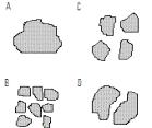 1. The four limestone samples illustrated below have the same composition, mass, and volume Under the