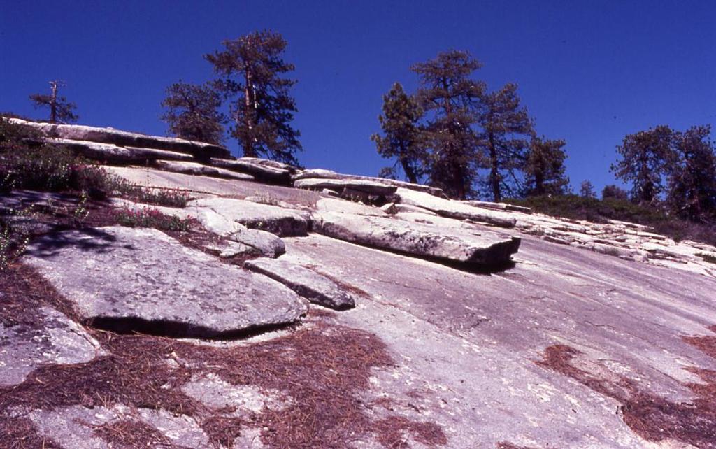 Mechanical Weathering Exfoliation: Rock breaks apart in layers that are parallel to the earth's