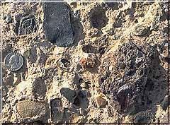 Conglomerate Consist of consolidated deposits of gravel, with variable amounts of sand and mud in the spaces between the larger grains.