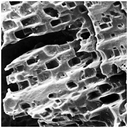 SEM micrograph of feldspar etched