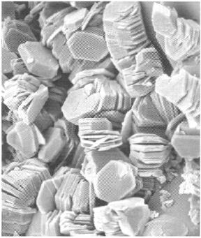 Clay Morphology Scanning Electron Microscope (SEM) Allows us to
