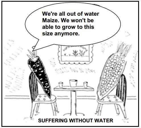 Question 6 (Adapted from Nov 2012, Paper 1, Question 2.4) Refer to FIGURE 6 that is a cartoon about drought. FIGURE 6: DROUGHT 6.1 Explain the term drought. 6.2 What is the message of the statement: 'We won't be able to grow to this size anymore'?