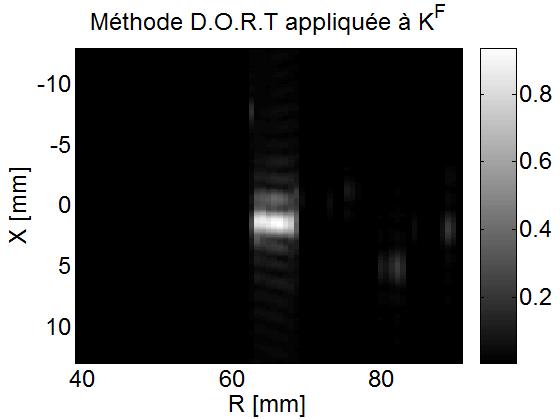 Detection and imaging in a random medium The D.O.R.