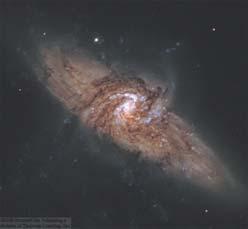 Stars and gas clouds orbit around the galactic center and cross spiral arms.