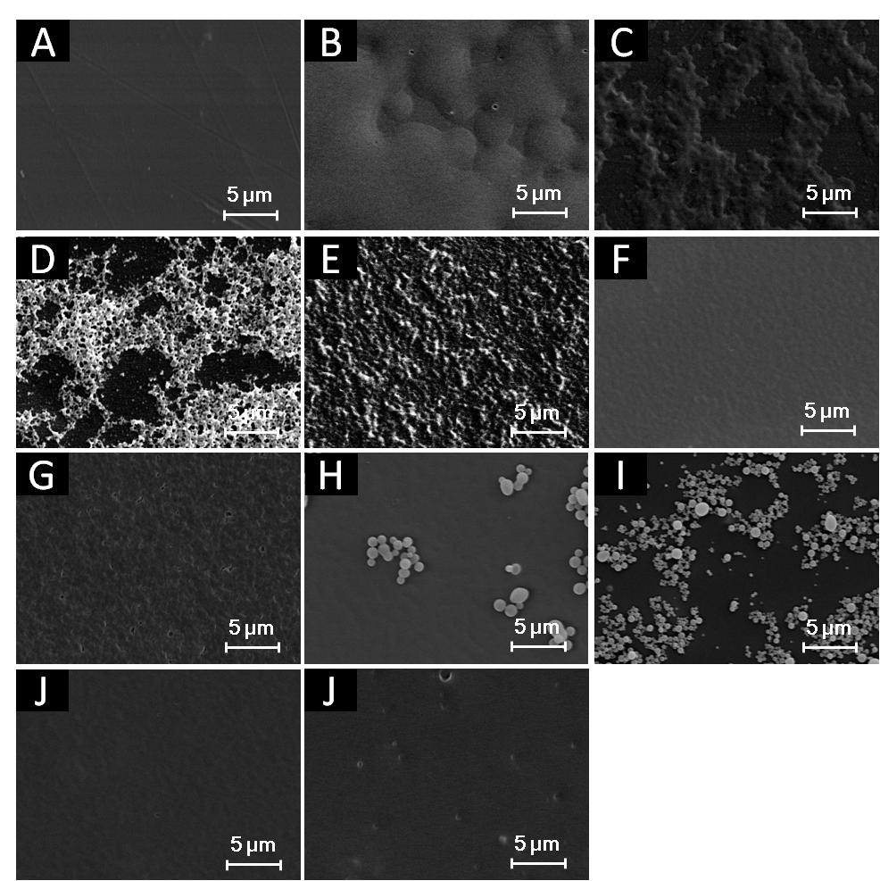 Fig. S2. Representative SEM images of each polymer film prepared under dry conditions. Substrate = PET sheet.