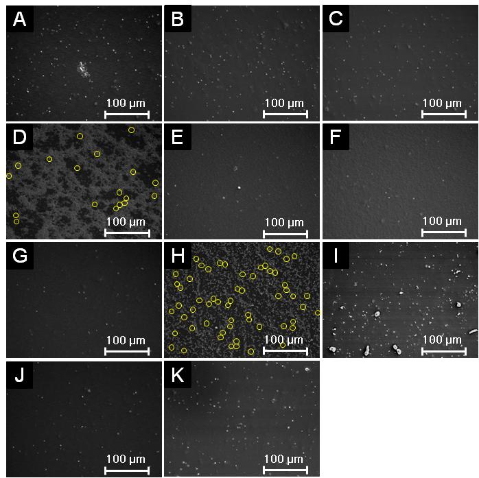 4. SEM images of adherent platelets Fig. S3.