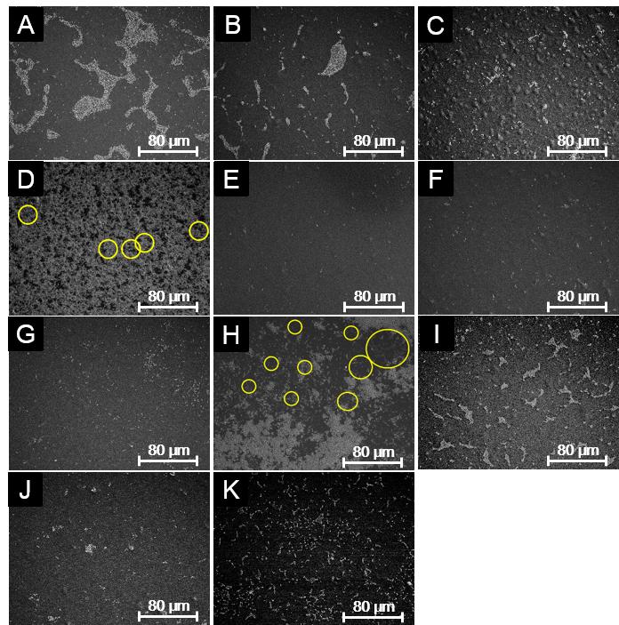 5. SEM images of adherent bacteria Fig. S5. Adherent bacterial images on each polymer surface. Substrate = PET sheet; Incubation = E. coli in MH broth at 37 ºC for 20 h.