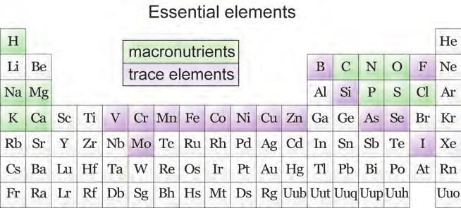 Essential elements Macronutrients and trace elements While traces of almost all naturally occurring elements exist in your body, there are a small number that are considered essential to life.
