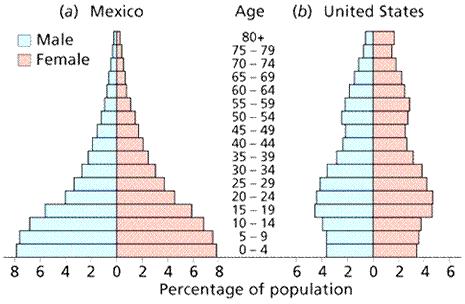 Graph 2: Mexico and US 1. In Mexico, what percentage of the population is between 0-4 years of age? 2. In the US?
