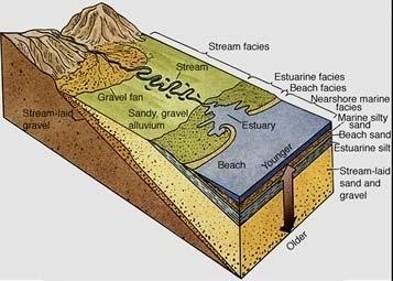 Stream Profile Slope & Energy Decrease as Bedload Becomes Finer Grained Steep: Coarse Bedload Shallow: Fine Bedload The Sea Immature Sediments