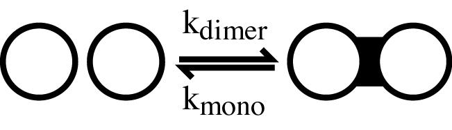 83 binding and unbinding can be described by two reaction rate constants, k dimer and k mono in the reaction: (5.