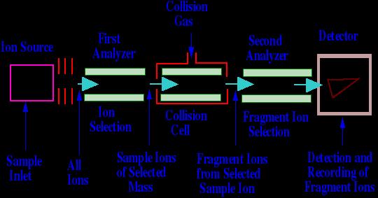 Mass Analyzer: Triple Quadrupole Mass Analyzer Collision gas Ion source 1 st analyzer 2 nd analyzer Detector Ion selection Collision cell Fragment ion selection Sample inlet