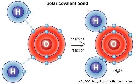 Example Covalent