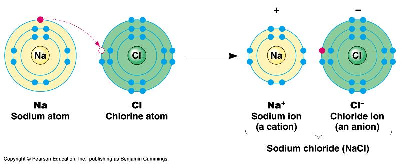 Example Ionic Bond Table Salt (NaCl)