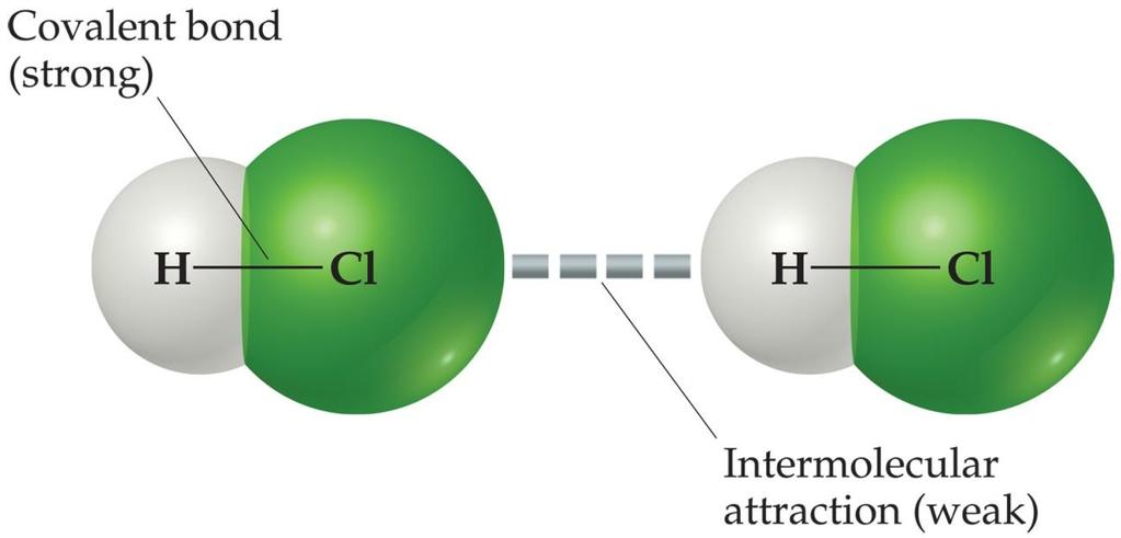 Intermolecular Forces Inter (between); Intra (within) The attractions between molecules are not nearly as strong as the intramolecular attractions that