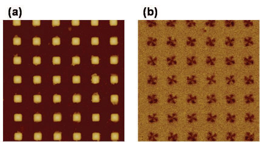 (b) MFM images of 2D patterned arrays of Co dot
