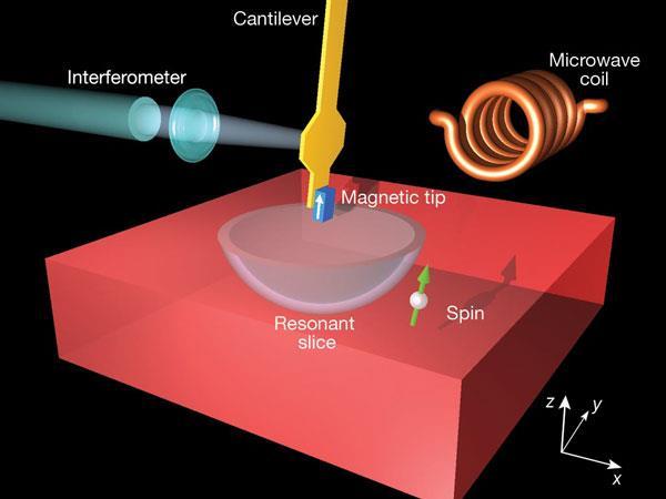 Magnetic Resonance Force Microscopy (MRFM) It measures the magnetic forces acting between a magnetic tip and resonantly excited spins in the sample.