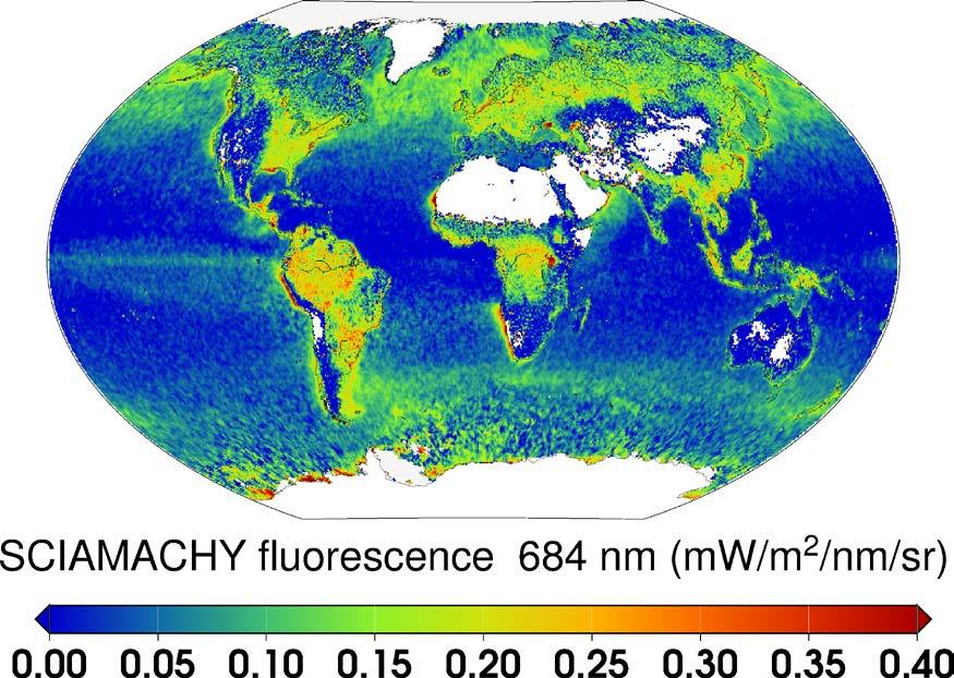PhytoDOAS to retrieve red fluorescence peak applied globally to SCIAMACHY data (extension to terrestrial