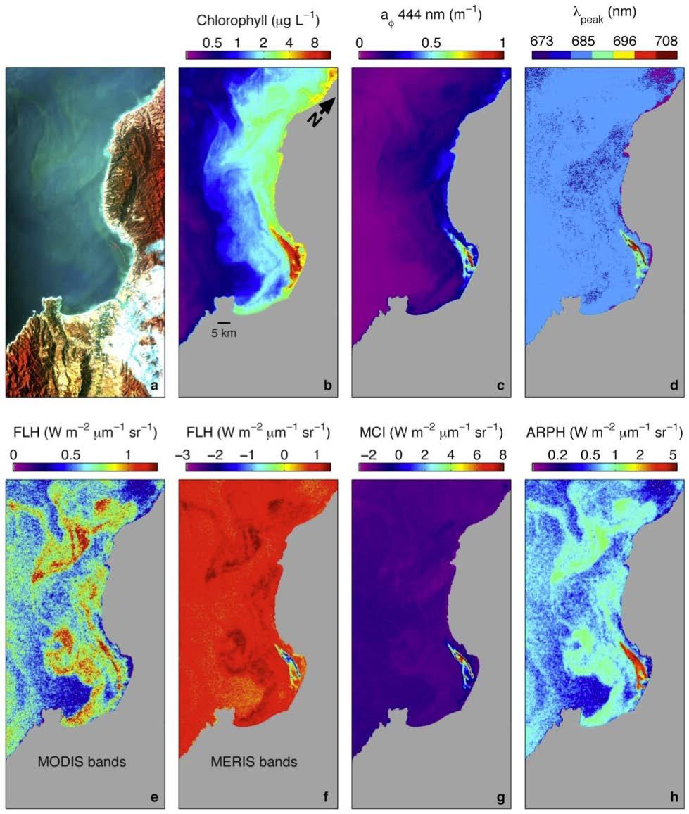 HICO for phytoplankton ecology research: Monterey Bay, California Goal Integrate HICO with other remote sensing and in situ data to study coastal phytoplankton ecology