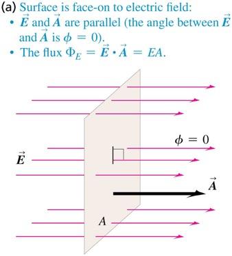 Calculating electric flux Consider a flat area perpendicular to a uniform electric field.