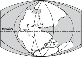 300 million years ago Figure A 150 million years ago Figure B Based on the diagrams, which of the following were more likely to survive on continent X after the breakup of Pangaea than before it