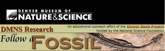 Slide 57 / 75 Slide 58 / 75 How Do We Determine a Fossil's ge?