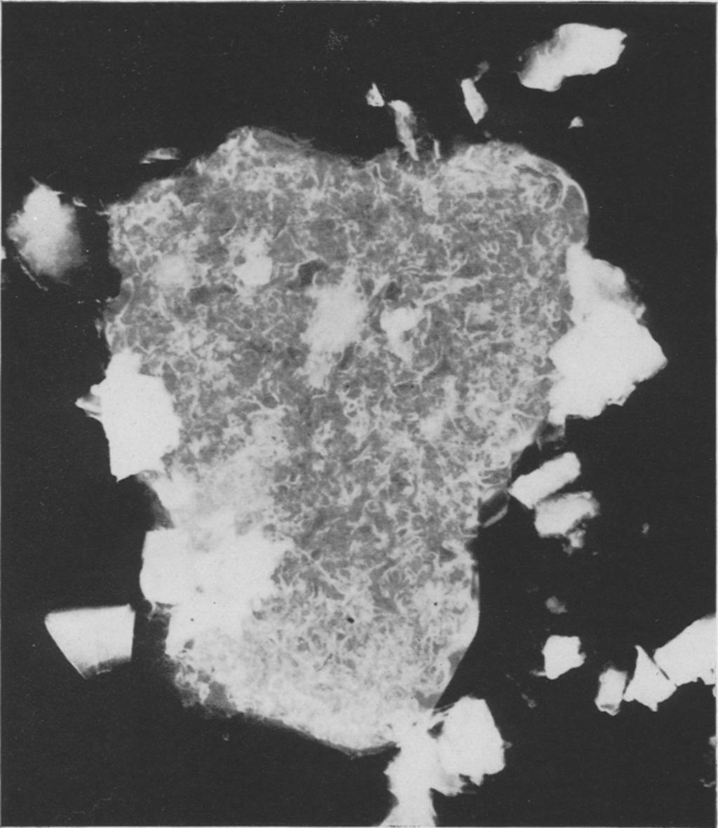 PLATE 1. Clays forming within feldspar.