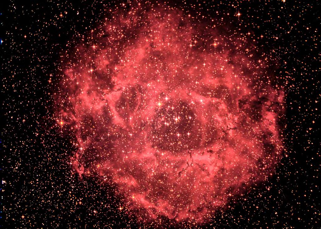 NGC2237 ROSETTE NEBULA - Winter RA 6h 33.8m DEC +04 59.9' 14 The Rosette Nebula (Caldwell 49 or NGC2237) is a star forming region weighing in at 10,000 solar masses.