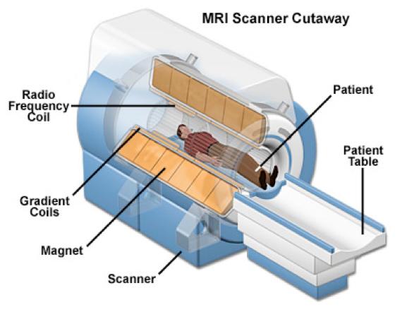 254 The Classical Description of NMR Figure 14.4 The main field of an MRI scanner is created by a solenoid. (diagram from http://www.magnet.fsu.