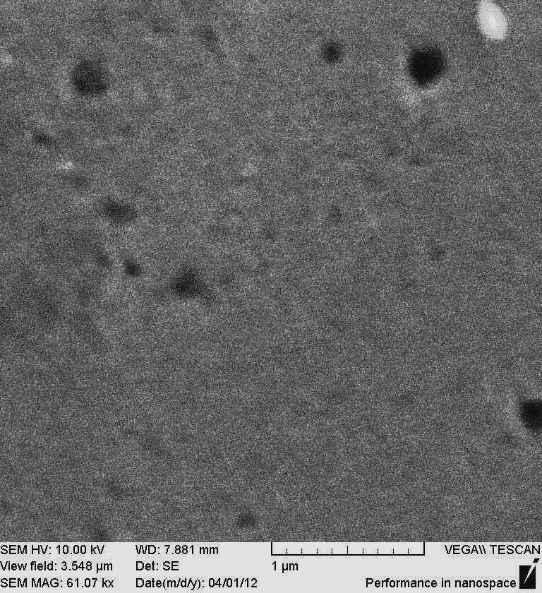 Nazarpour, "Laser based fabrication of chitosan mediated silver nanoparticles", Appl Phys A (2011)105:255 259. 2. D. Riabinina, J. Zhang, M.d Chaker, J. Margot and D.